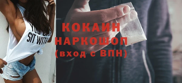 твердый Дмитровск