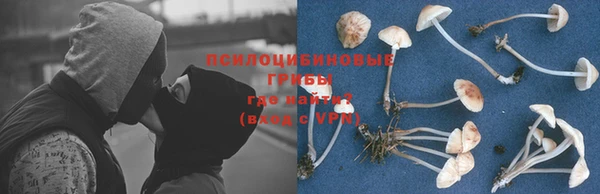 кокаин колумбия Дмитриев