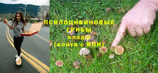 кокаин колумбия Дмитриев