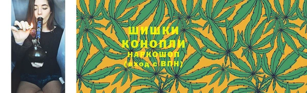 твердый Дмитровск