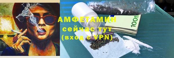 твердый Дмитровск