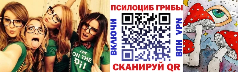 Галлюциногенные грибы Psilocybine cubensis Купить Сенгилей